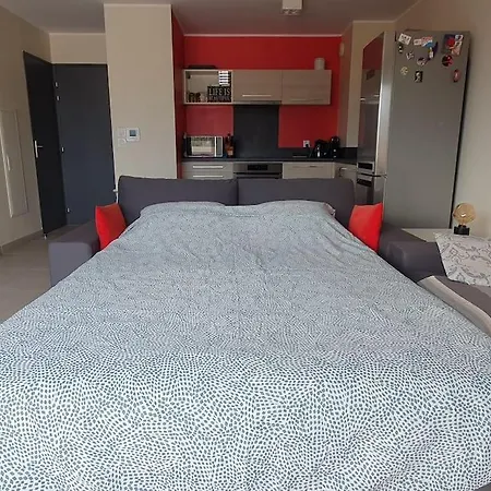 Superbe Appart. Duplex Plein Sud